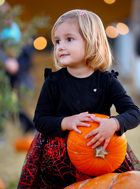 Choosing the Perfect Pumpkin