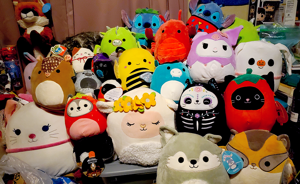 https://creativitychronicles.com/content/images/2022/11/diy-squishmallow-plushies-collection-1.png