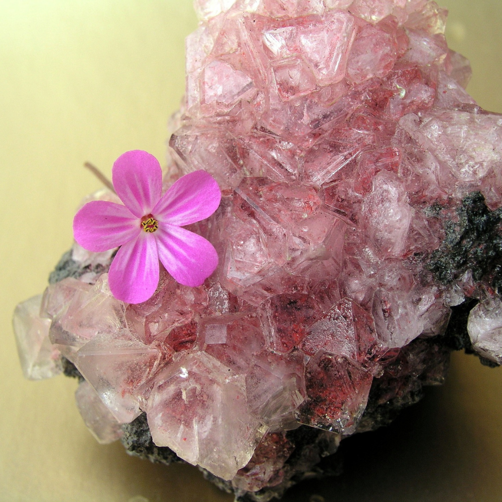 Crystal CureAll The Best Crystals for Allergies Relief!