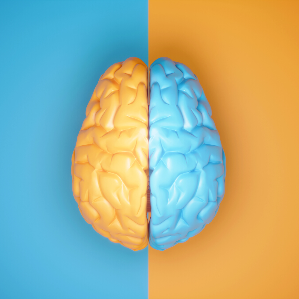 Асимметрия мозга. Левое полушарие мозга. Асимметрия мозга картинки. Полушария мозга разного цвета.