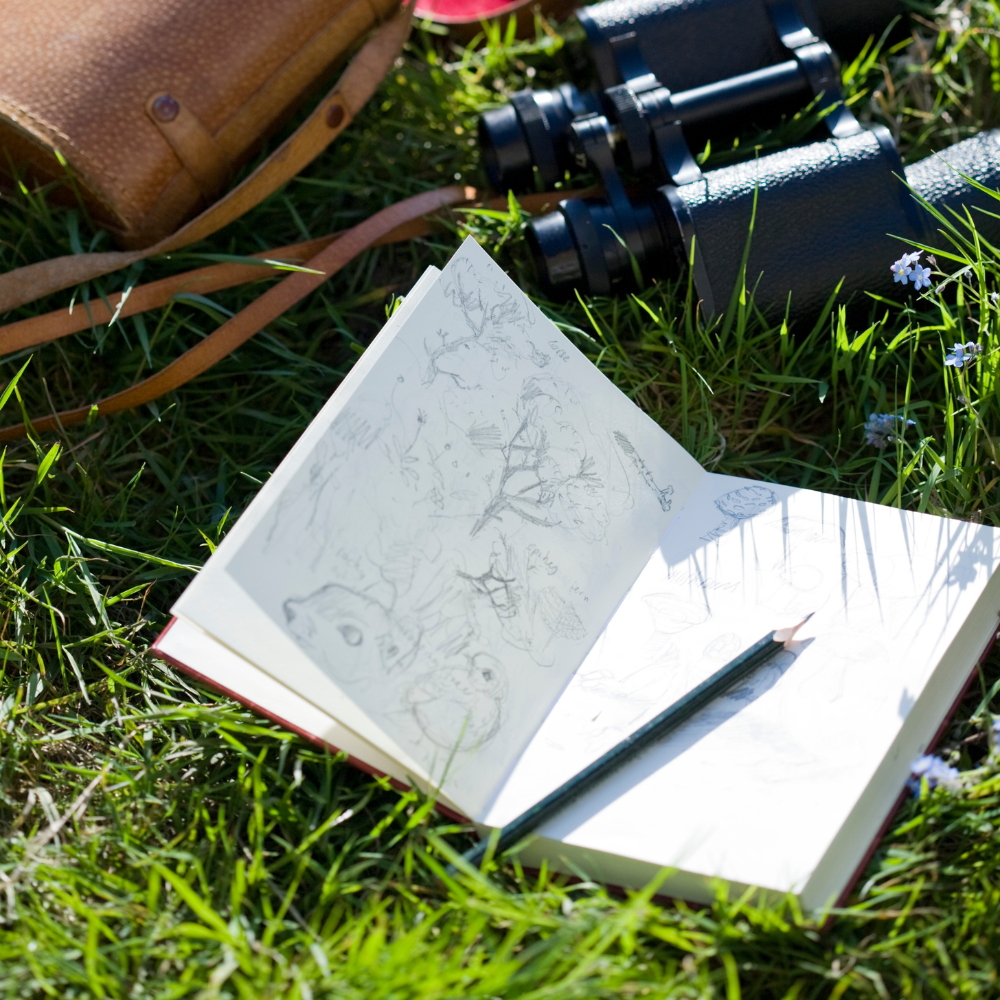 What’s the Difference Between a Sketchbook and an Art Journal?