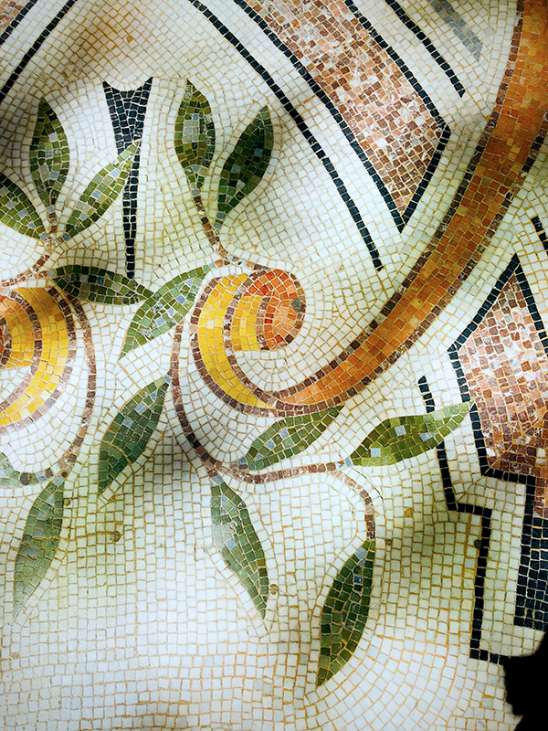 What Are the 3 Main Types of Mosaic? Exploring the Art of Mosaics