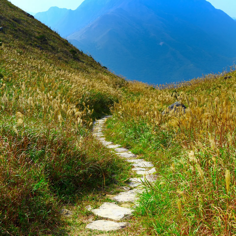 The Road That Turns to Meet You