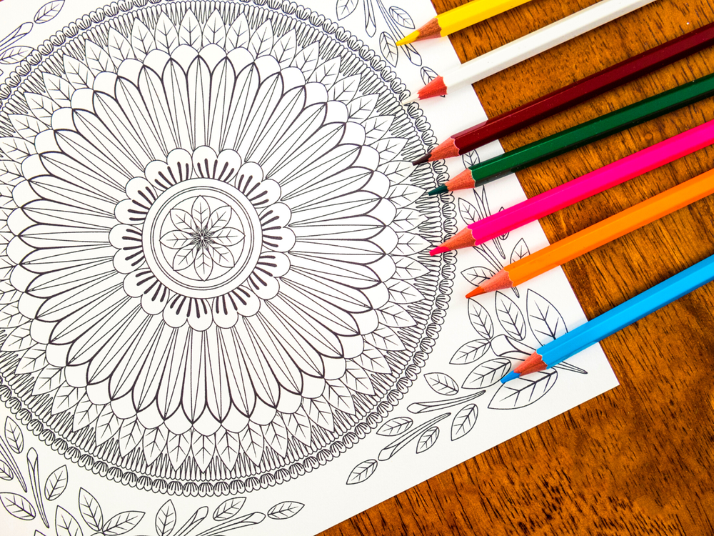 Coloring Books 101 Coloring Tips for Beginners