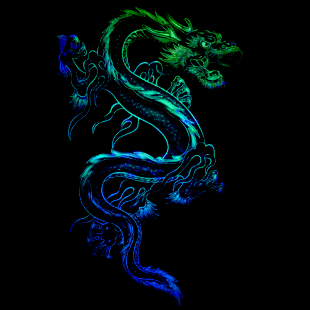 dragon fan art