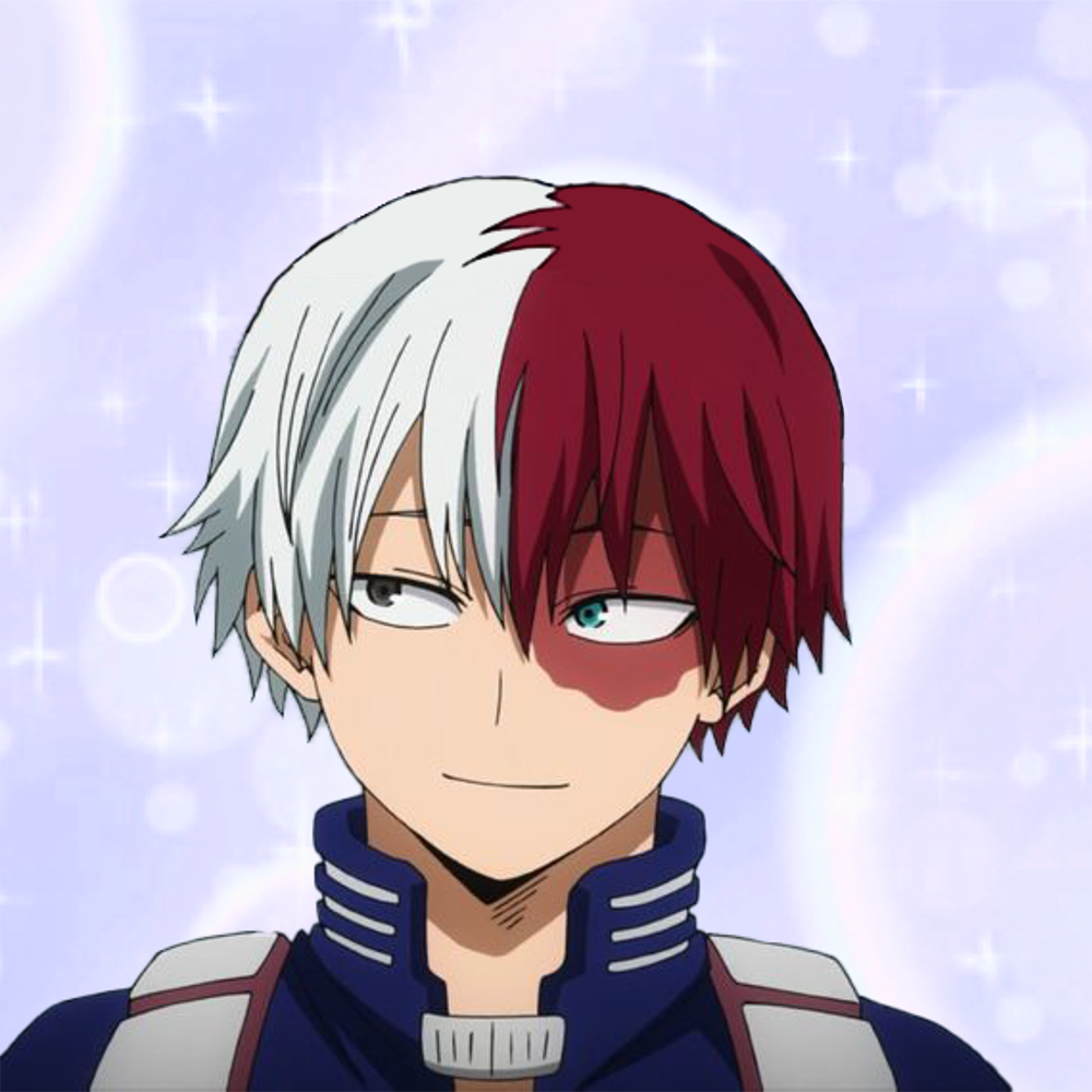 Shoto Todoroki's journey