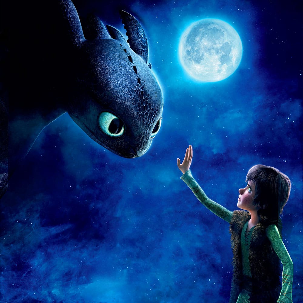 hiccup haddock's journey