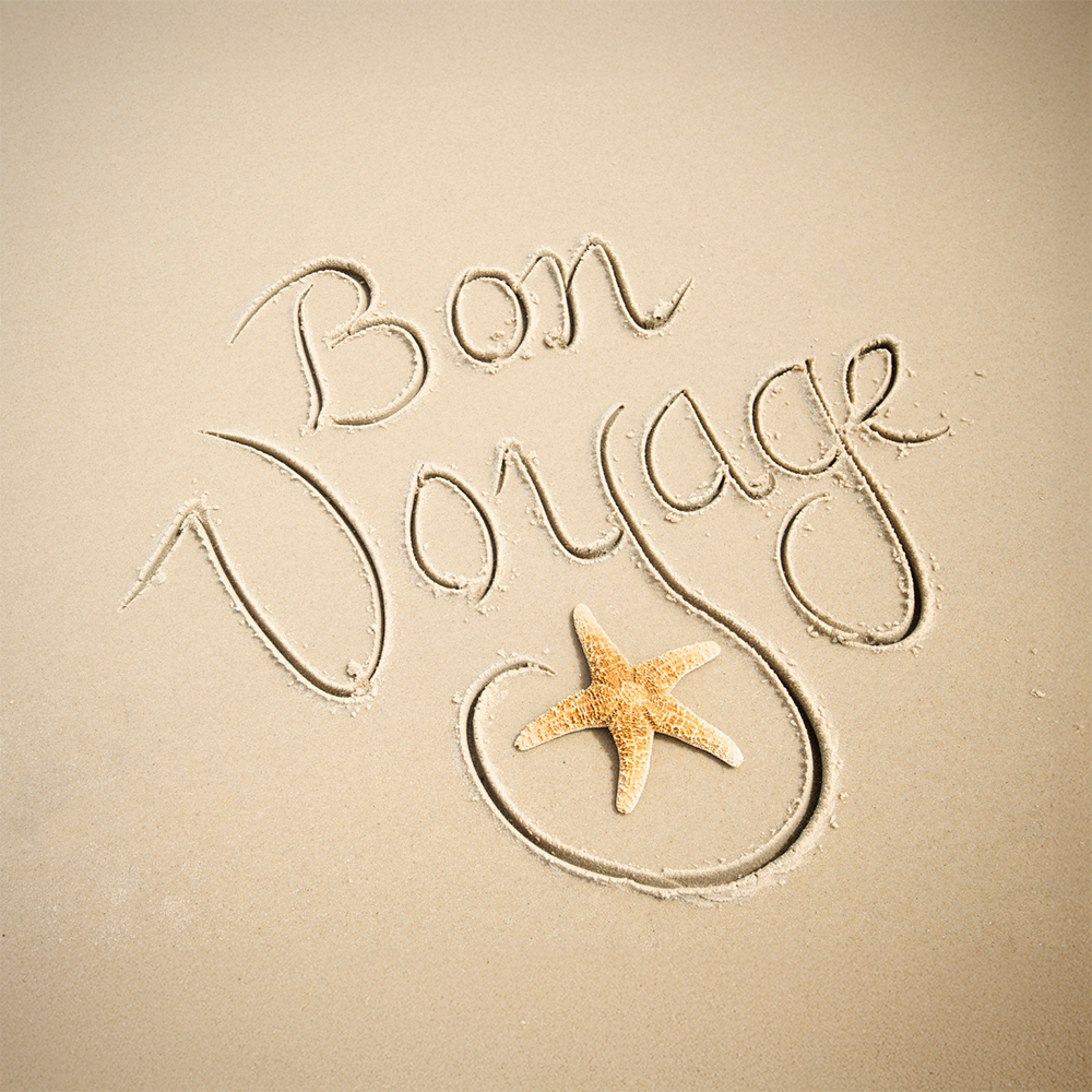 Embrace the Voyage
