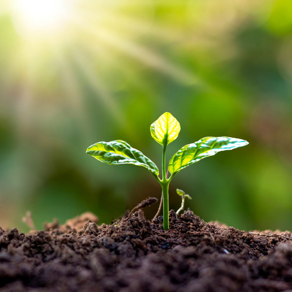 Growth Awaits You