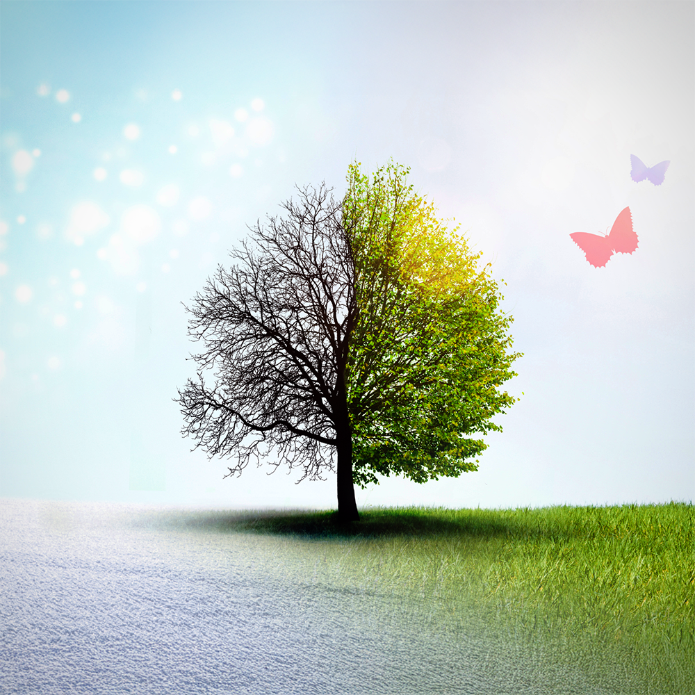 Embrace the Change with Trust