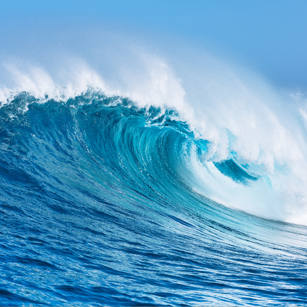  Embrace the Waves of Change