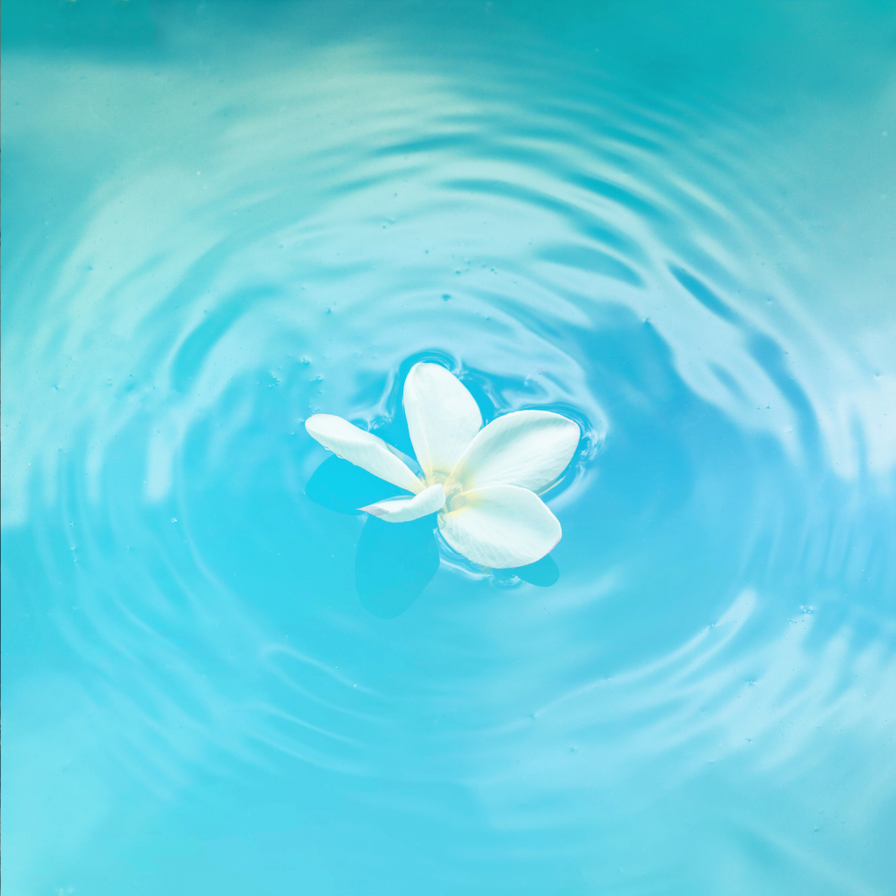 Path to Clarity
