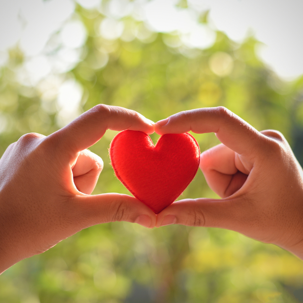 Embrace Empathy’s Gentle Whisper