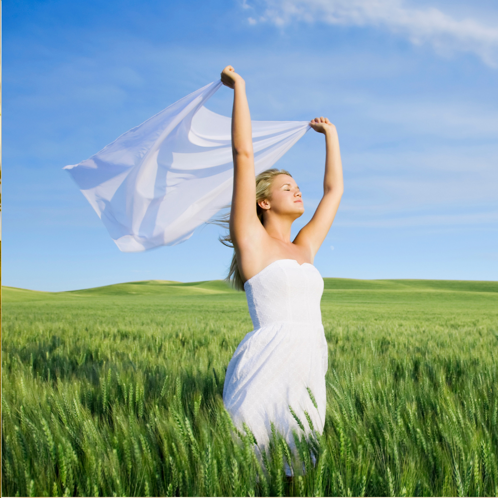 Embrace the Breeze