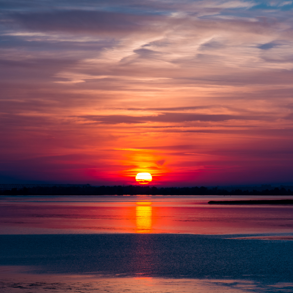 Seek the Dawn
