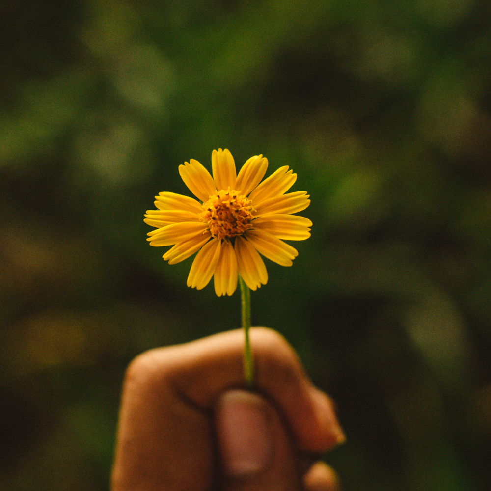 Finding the Beauty in Life