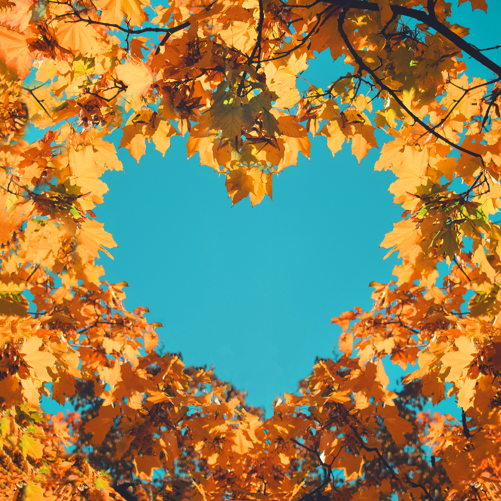 Honoring Others Without Losing Yourself