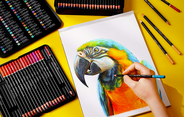 Make Vibrant Hues with the Best Oil-Based Colored Pencils