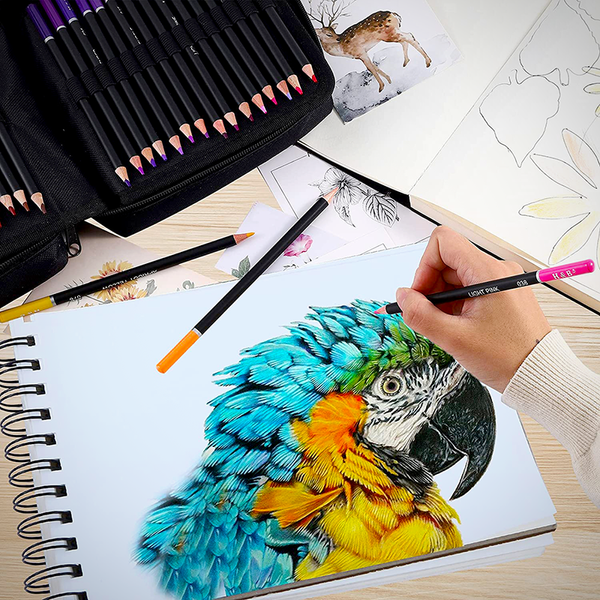 Make Vibrant Hues With The Best Oil-Based Colored Pencils