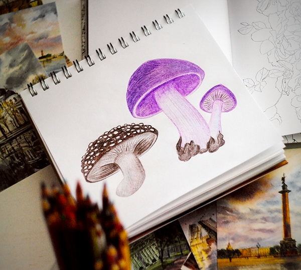 Master Your Art with the Best Colored Pencil Blender