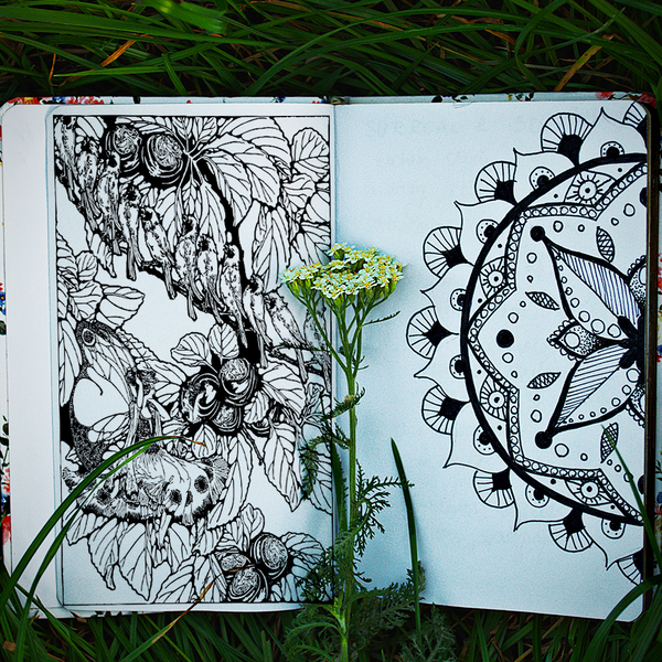 Creating Coloring Books: Coloring Book Beginner's Guide