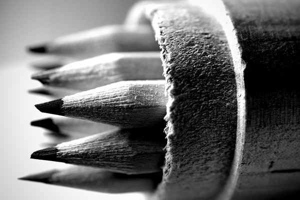 Charcoal 101: The Basics of Drawing with Charcoal