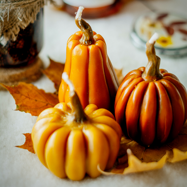 Candle Making 101 Creating Carved and Sculpted Candles